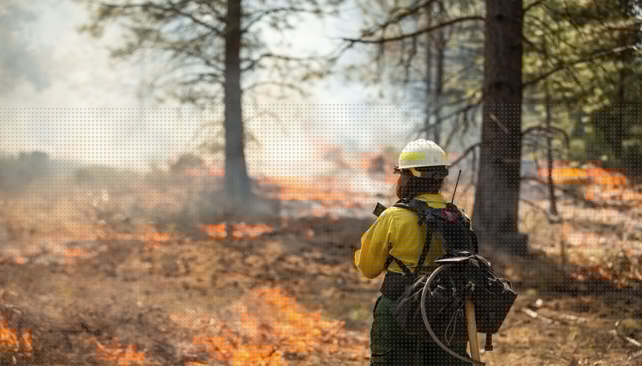 WMO warns on wildfires: "Climate change increases the risk, but it's not the only cause"