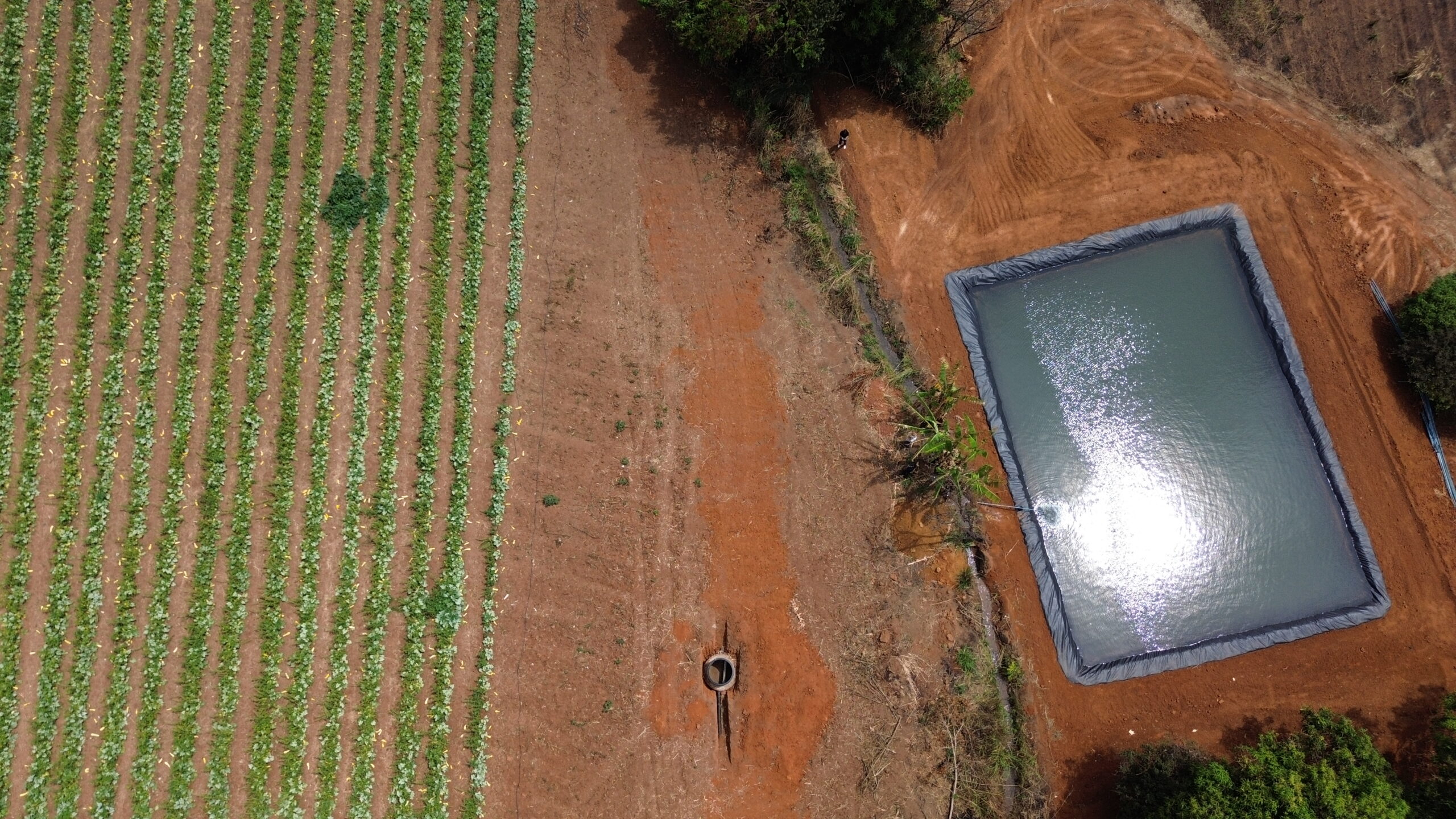 Modernização da irrigação no Rio Preto beneficia produtores rurais e fortalece agricultura familiar no DF