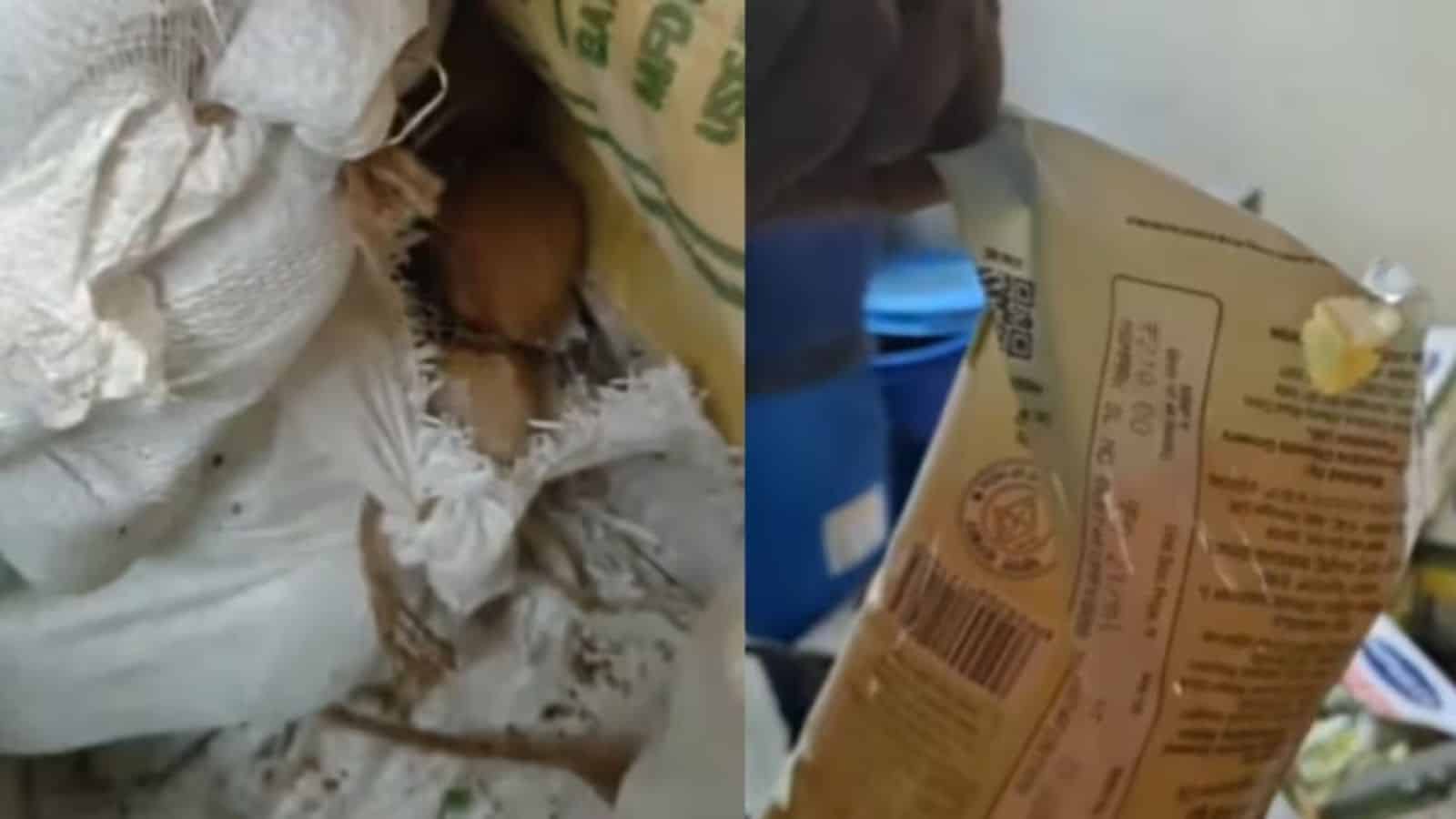 Bengaluru Indira canteen warehouse sealed after unhygienic storage