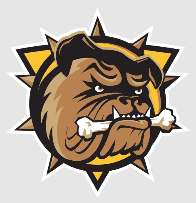 Brantford Bulldogs sign third goaltender