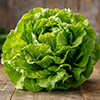 Scientists turn lettuce into a factory for a key meat protein