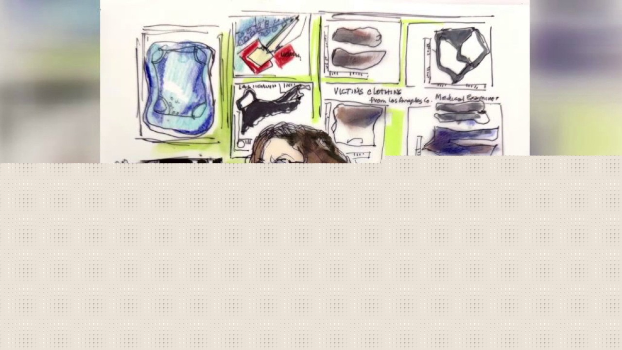 D4vd hearing: Clothing evidence, cellphone maps revealed