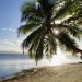 Pacific Island States Say IMO Net-Zero Fund Essential for Shipping Mid-Term GHG Measures