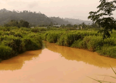 60% of Ghana’s water bodies polluted — CSIR scientist