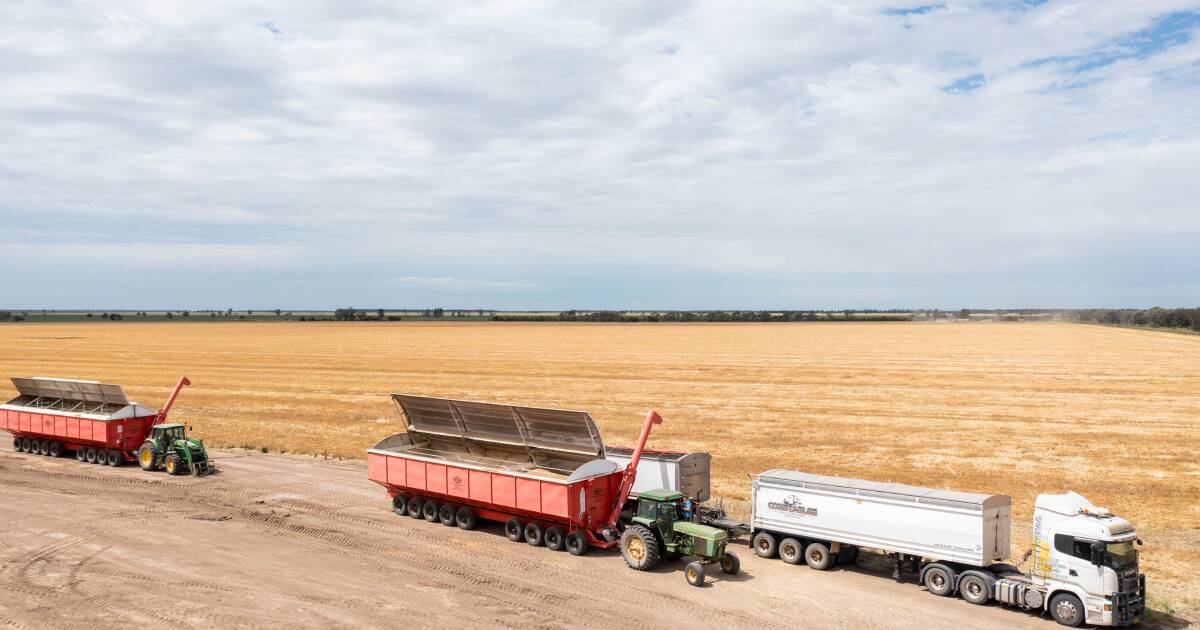 Black Sea disruption continues, so why aren't wheat prices skyrocketing?