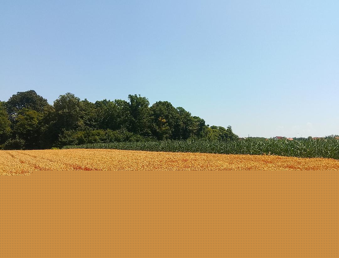 Resorno odjeljenje jača savjetodavnu podršku poljoprivrednim proizvođačima u Brčko distriktu