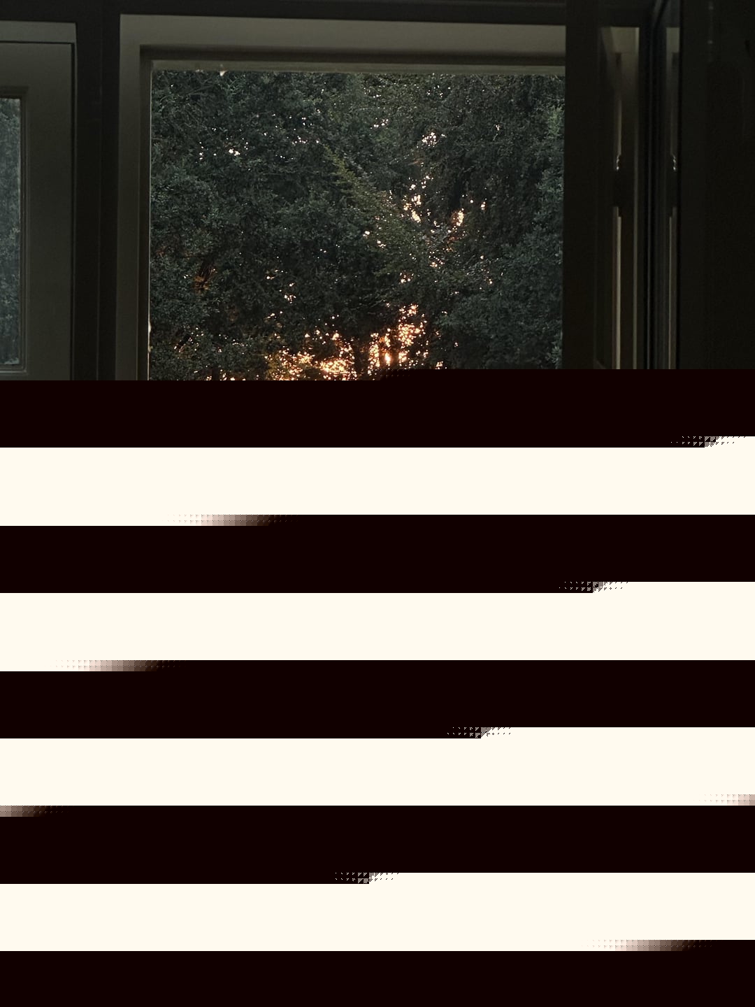 Accidental Renaissance - A view from the window