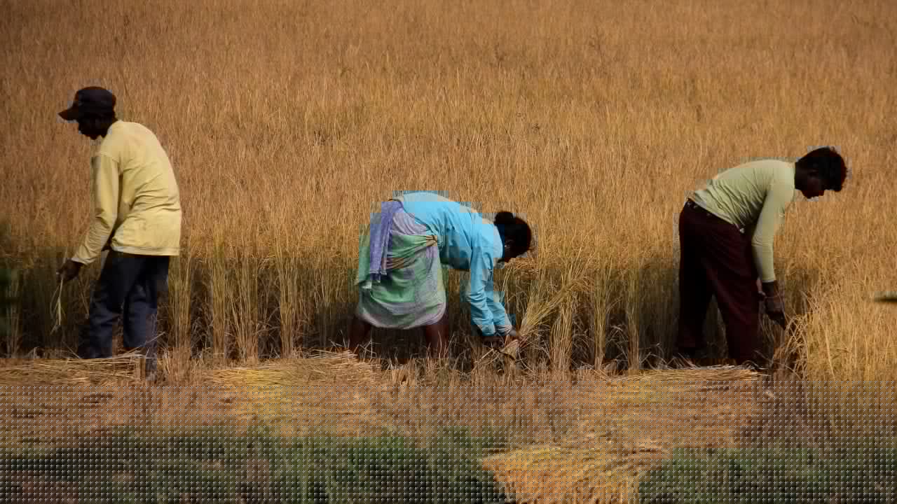 Odisha’s Share in Rural Body Grants Rises to 4.30% Under 16th Finance Commission