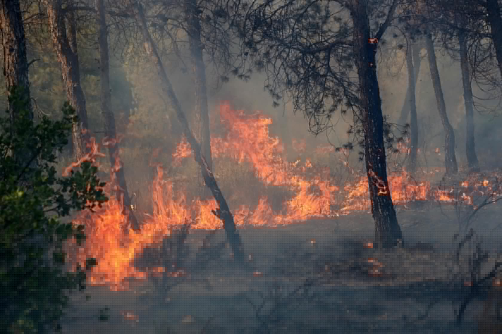 Incêndios, secas, calor extremo e fome: África sofre impacto desproporcional da crise climática e teme super El Niño