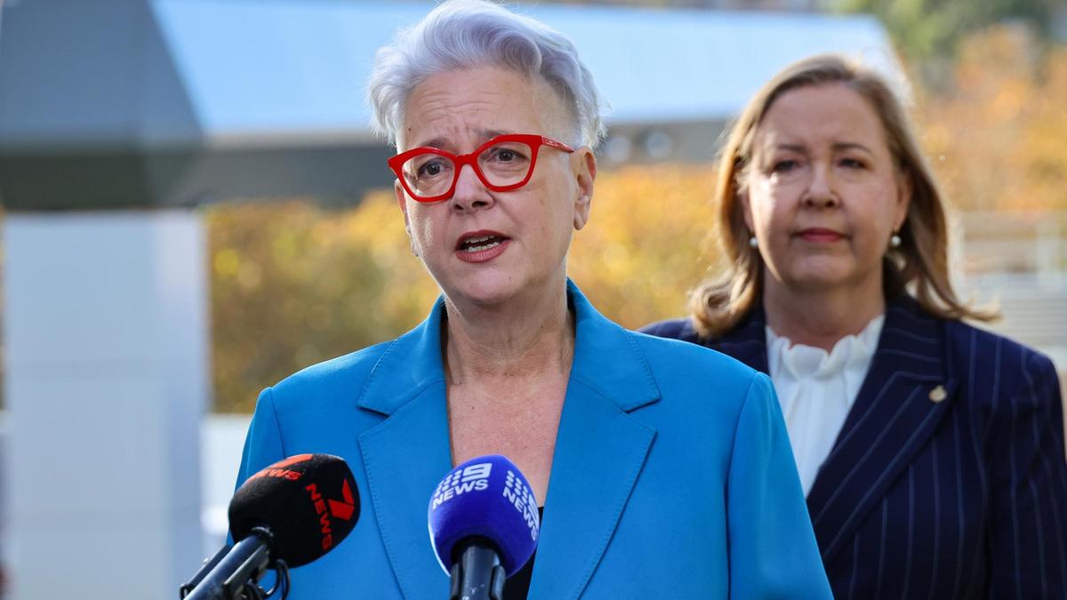 NSW government bans coal and gas from using new koala park carbon credits