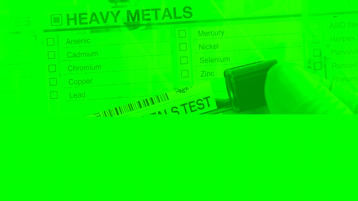 Does your body absorb heavy metals? Bioavailability explained