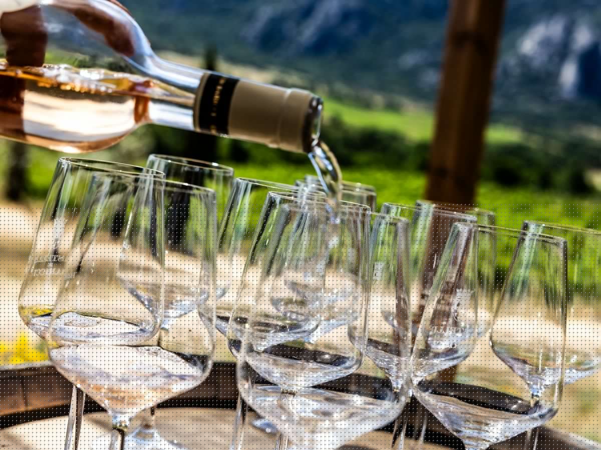 Wine Guy: Three great local wines to toast B.C. Day