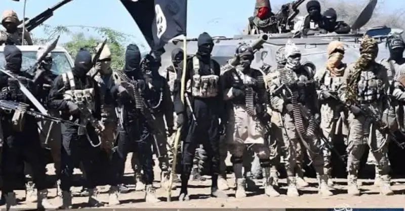 Premature Explosion Kills 5 ISWAP Bombmakers and Medical Officer in Borno