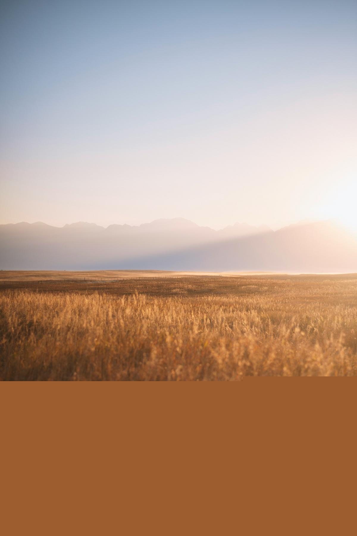 Montana Is Ranked 17th For Underprivileged Children. Here's Why.