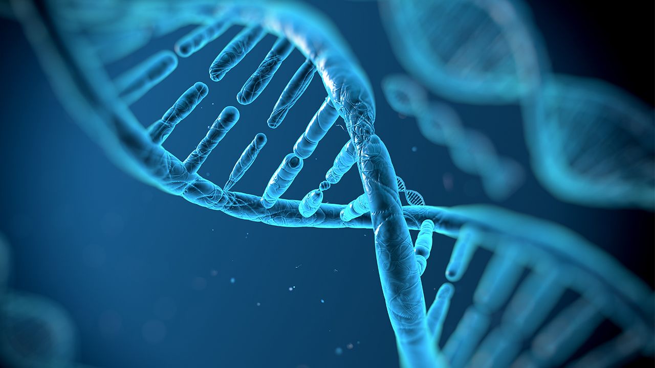 <![CDATA[FDA Grants Emergency Use Authorization for Seegene’s Multiplex PCR Assay ]]>