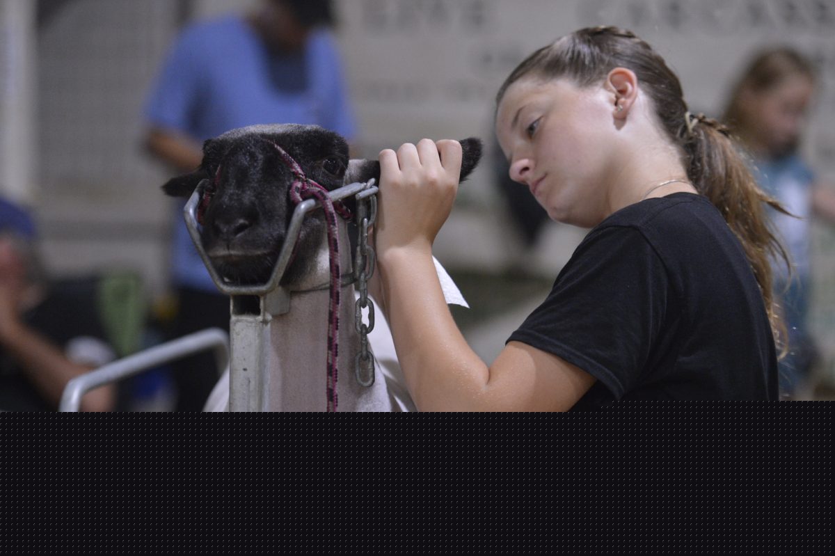 Greene County Fair kicks off