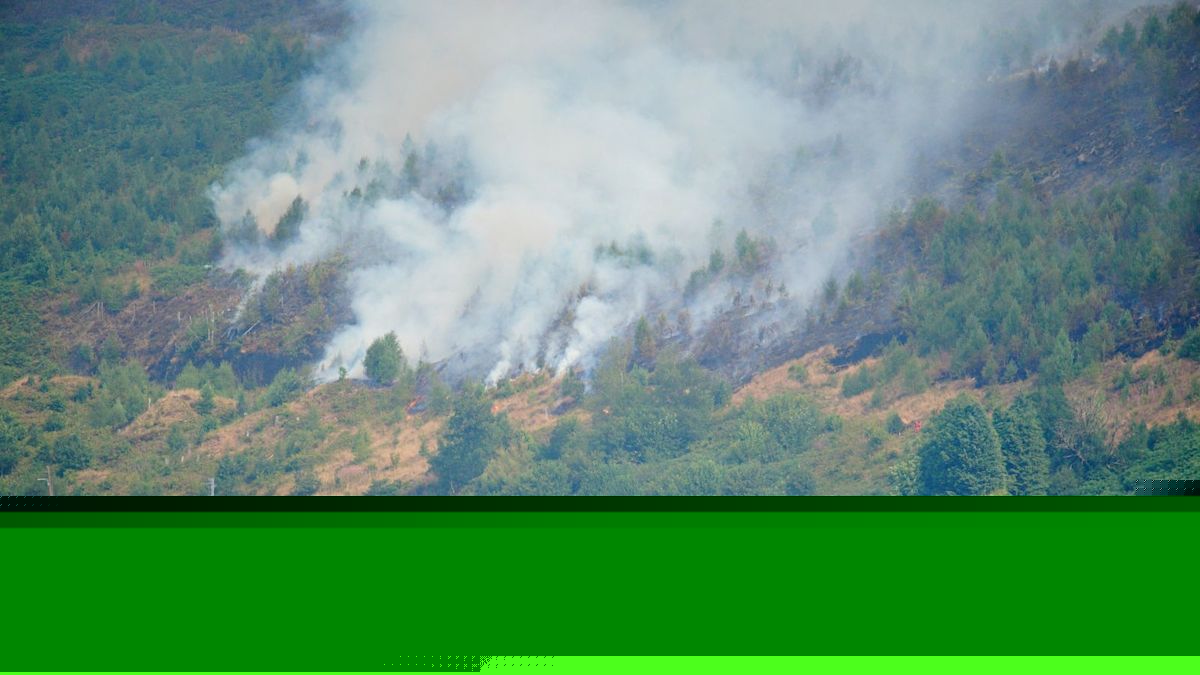 Major incident declared and warnings to stay away as forest fire spreads