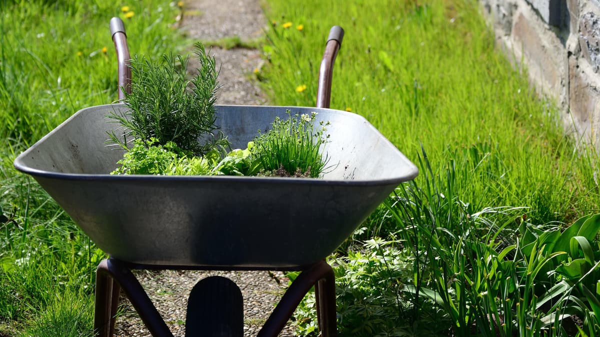 Village prepares for community garden build day