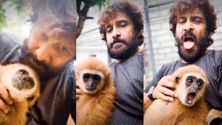 Actor Vikram’s Lar Gibbon video sparks wildlife probe