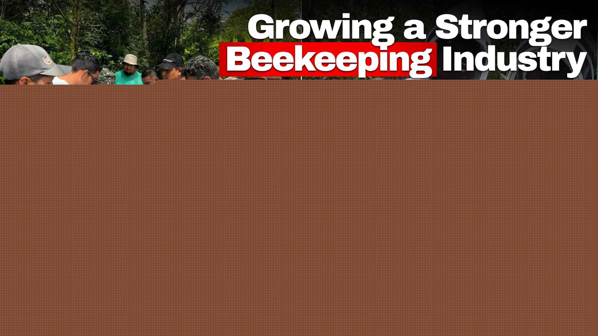 Growing a Stronger Beekeeping Industry