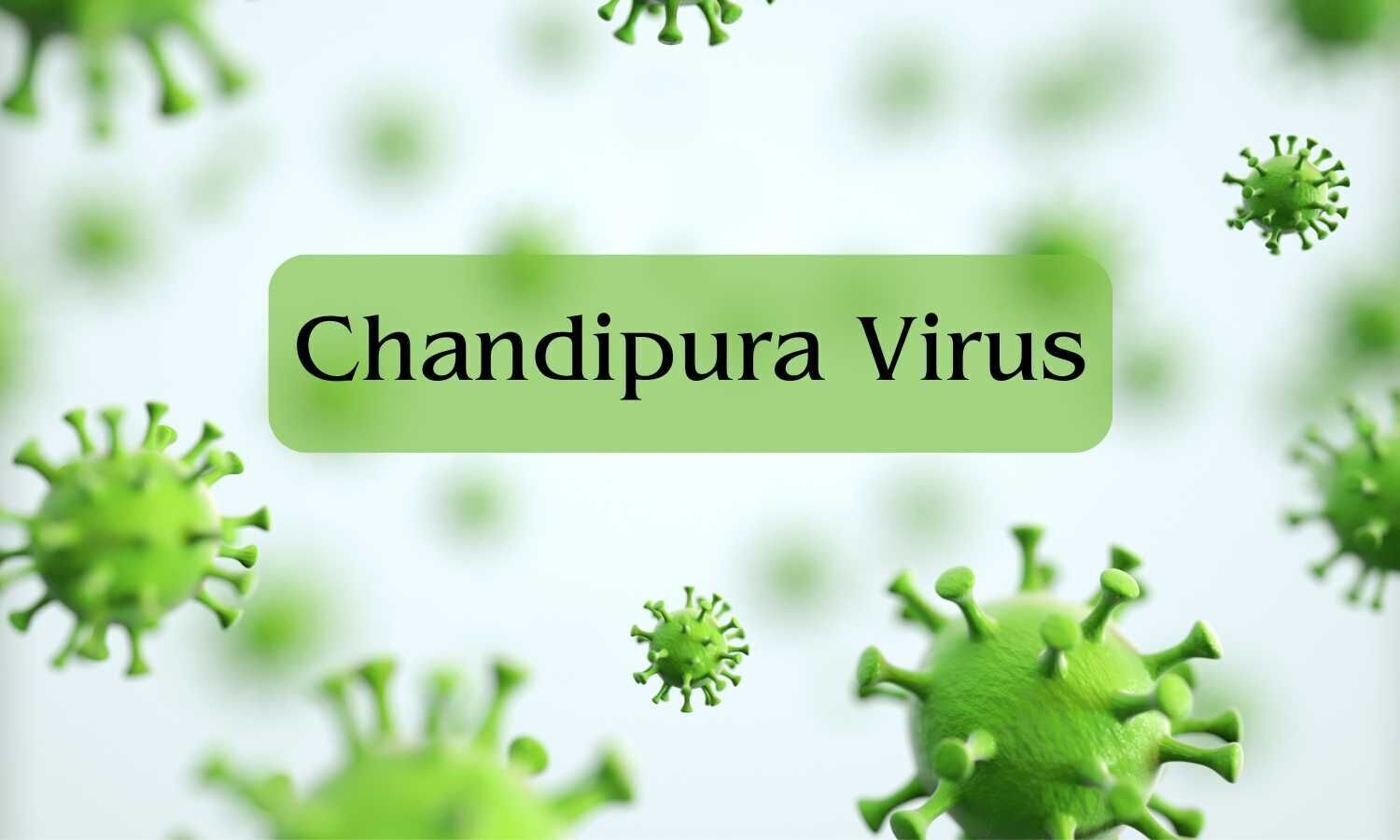 Chandipura Virus Outbreak: Centre Launches Emergency Response in Gujarat, Rajasthan