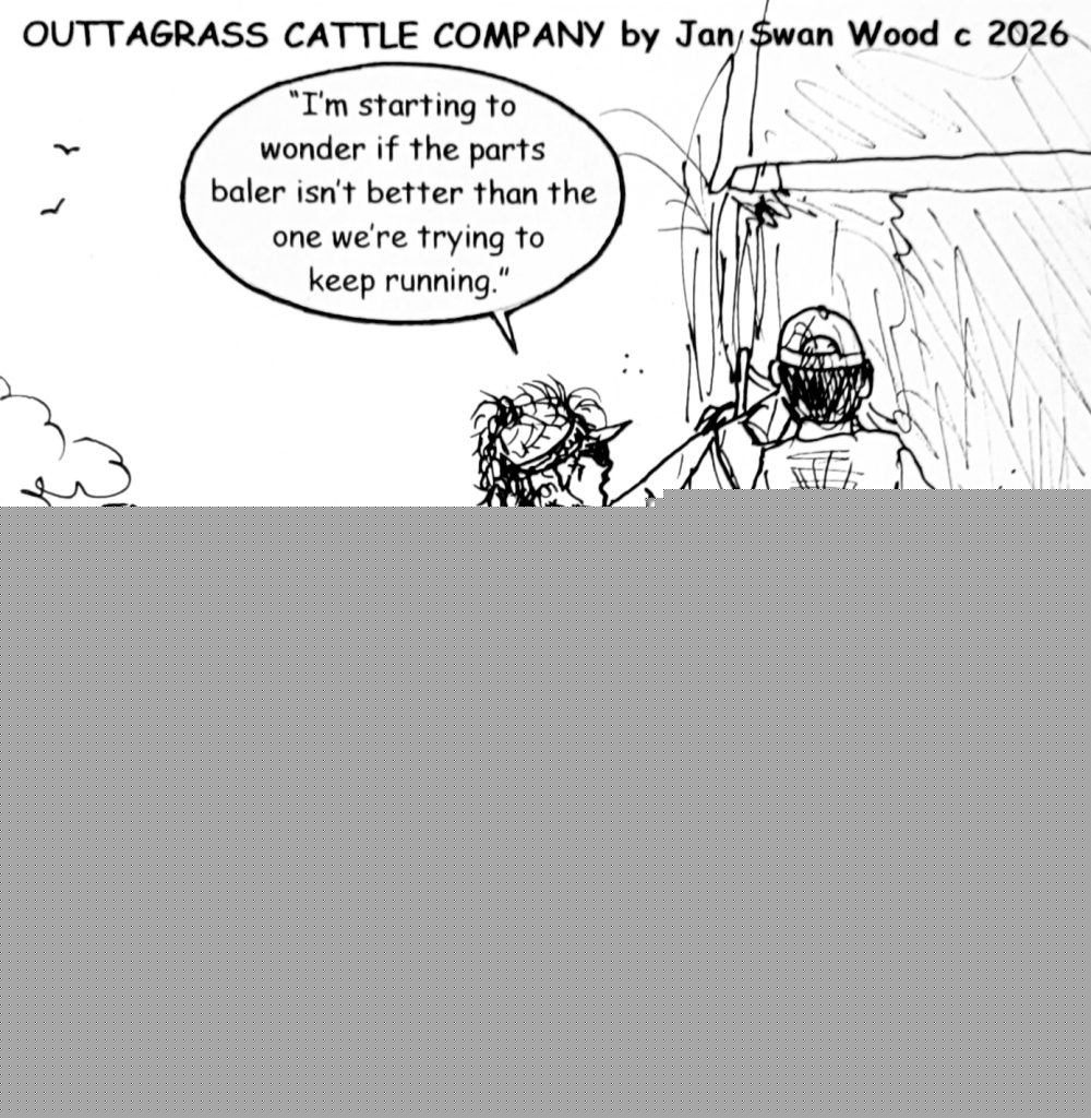Outtagrass Cattle Company