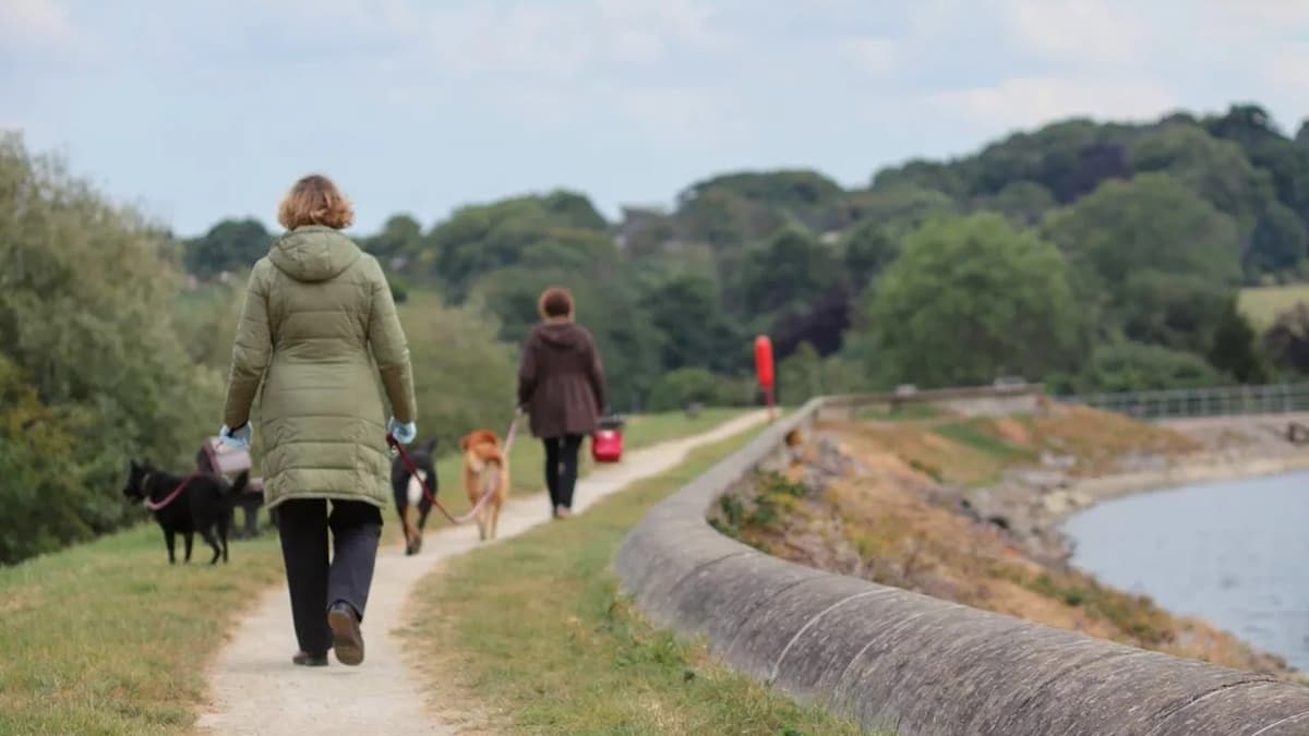 Dog walkers asked to clean up after their pets at Isle of Man's reservoirs