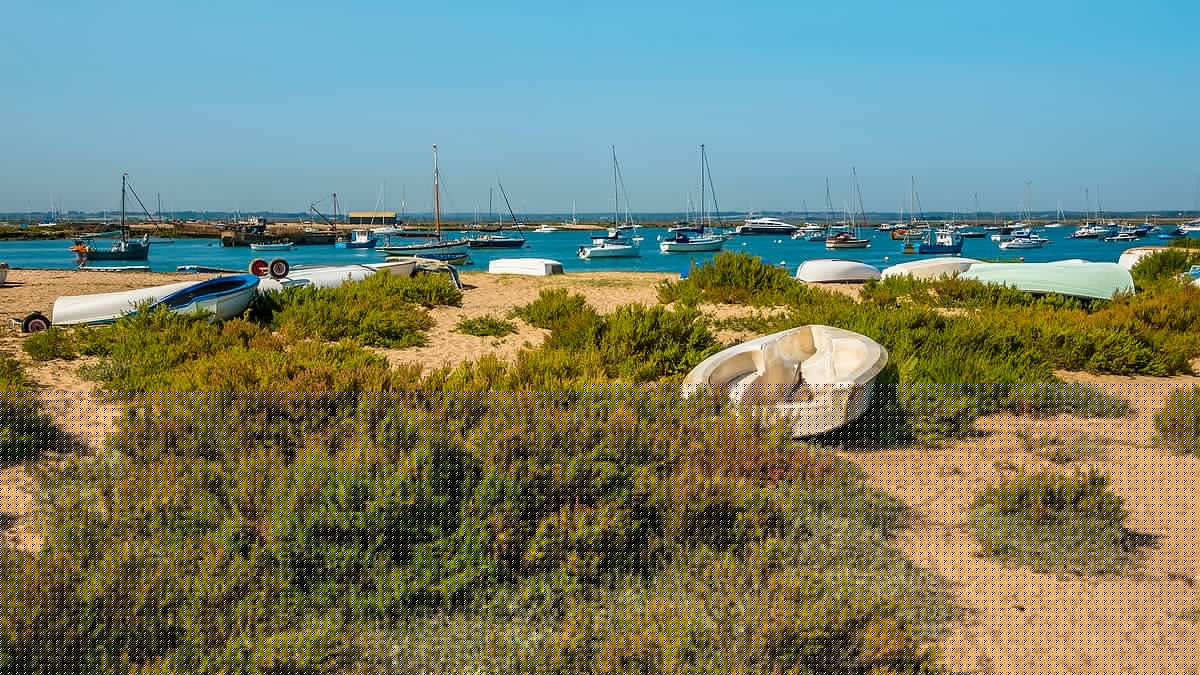 Homes with a sea view cost up to £220,000 more as buyers prepared to splash out on coastal locations