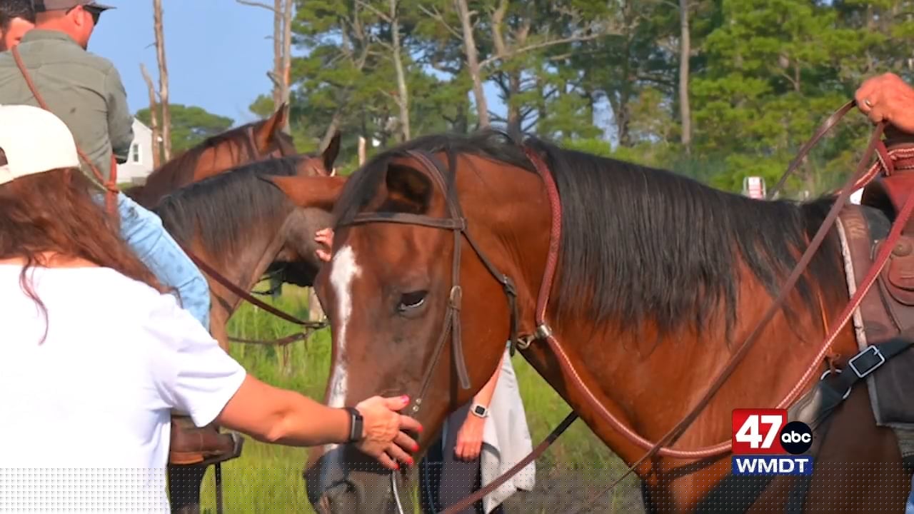 The Brightside: The Pony Fund changes lives, one Chincoteague pony at a time