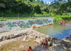 “물에 떨어지면 100% 감전사”…장흥계곡 바위에 ‘220V 콘센트’ 포착