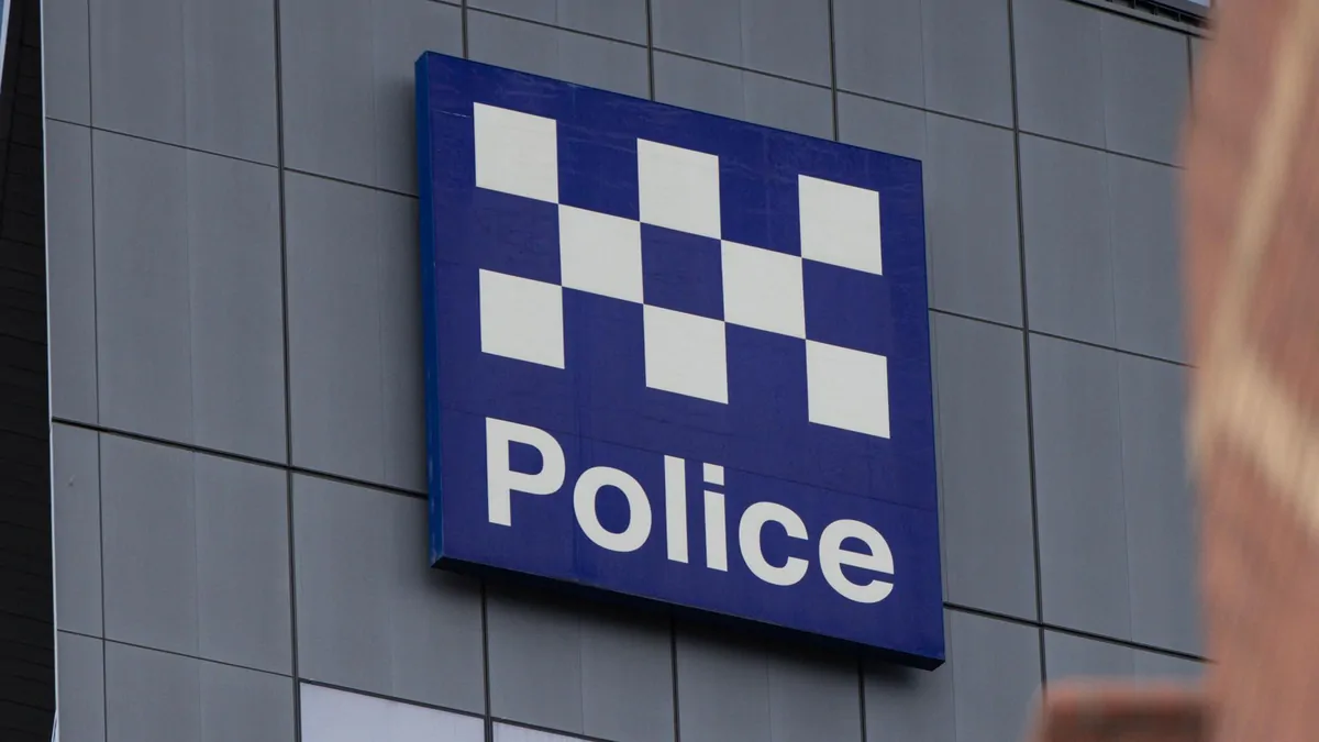 Man, 21, charged with allegedly assaulting cabin crew, punching passenger on flight to Melbourne