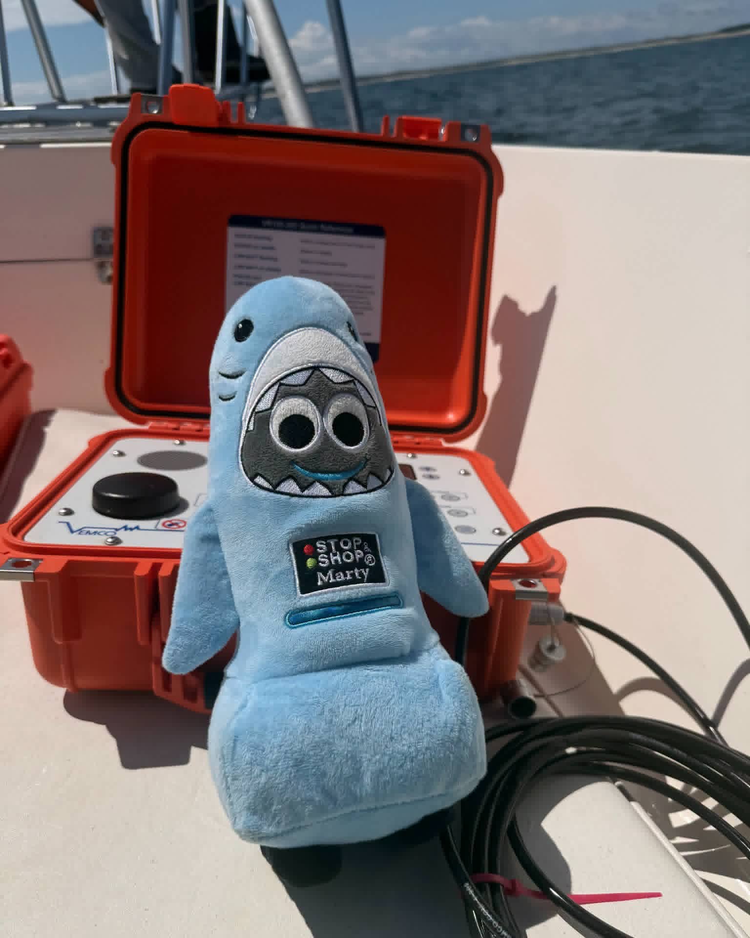 Stop & Shop Plush Toy Raises Funds for White Shark Research Through Cape Cod Partnership