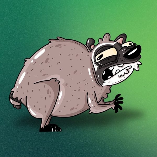 Jimothy the Raccoon - 🚨 New cryptid alert 🚨