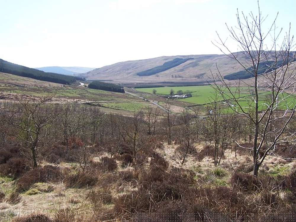 Battle of Glen Fruin