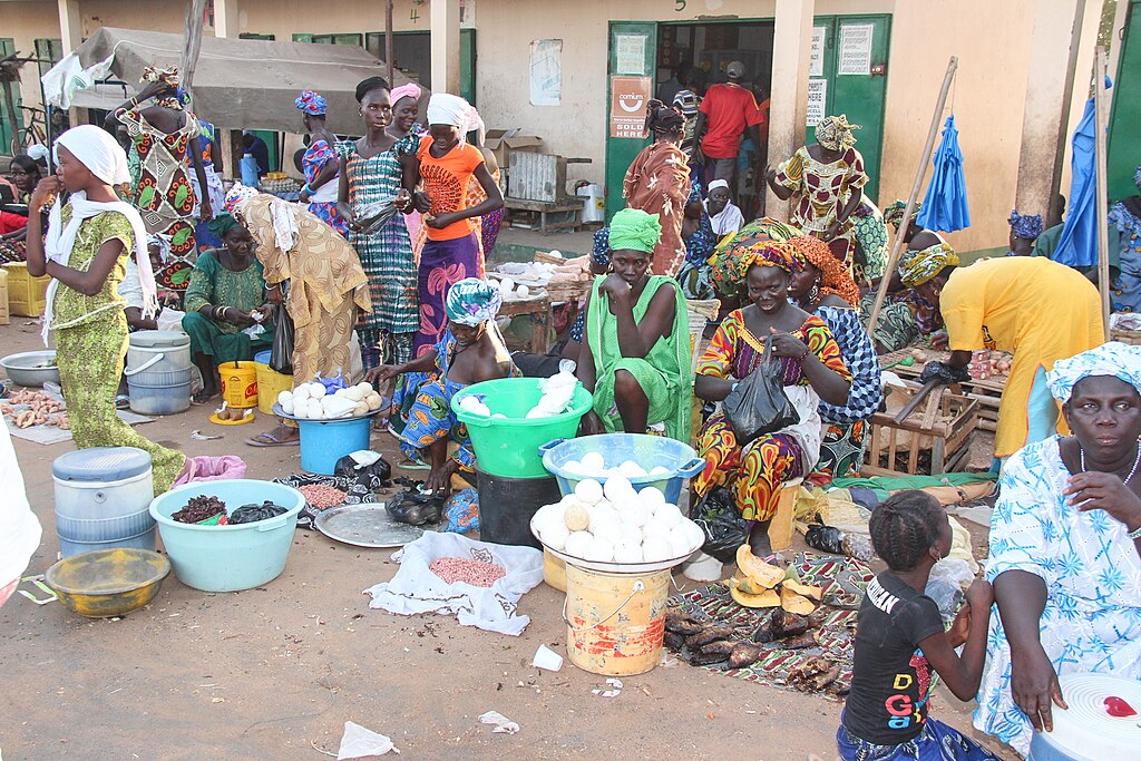 Technologies Help To Fight Disability and Poverty in The Gambia