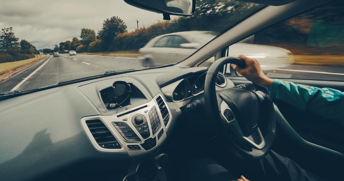 Drivers warned of ‘increased’ collision risk during ‘peak season’ for common animal