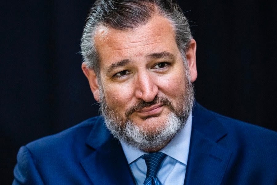 Tinubu Busy Paying American Lobbyists – US lawmaker, Ted Cruz claims