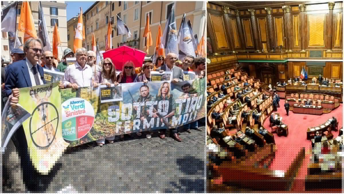 “Ddl caccia? Pd e Italia viva complici della maggioranza”: il duro attacco delle associazioni ambientaliste e animaliste