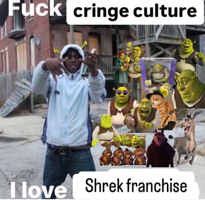 Fuck Cringe Culture, I Love U - i love shrek franchise