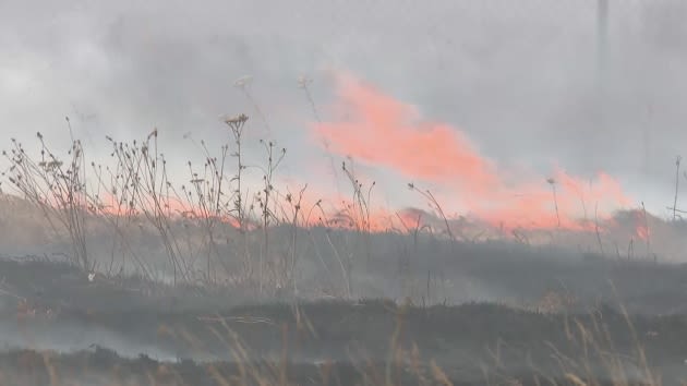 Fire crews tackle fire near Colchester in Essex