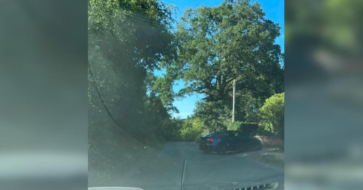Road closed after fallen tree brings down power cables