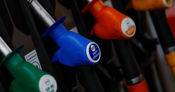 E20 petrol can reduce fuel efficiency by 2% to 6% in some vehicles, Nitin Gadkari tells Parliament