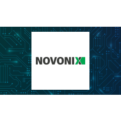 Head to Head Contrast: Flex (NASDAQ:FLEX) and NOVONIX (NASDAQ:NVX)