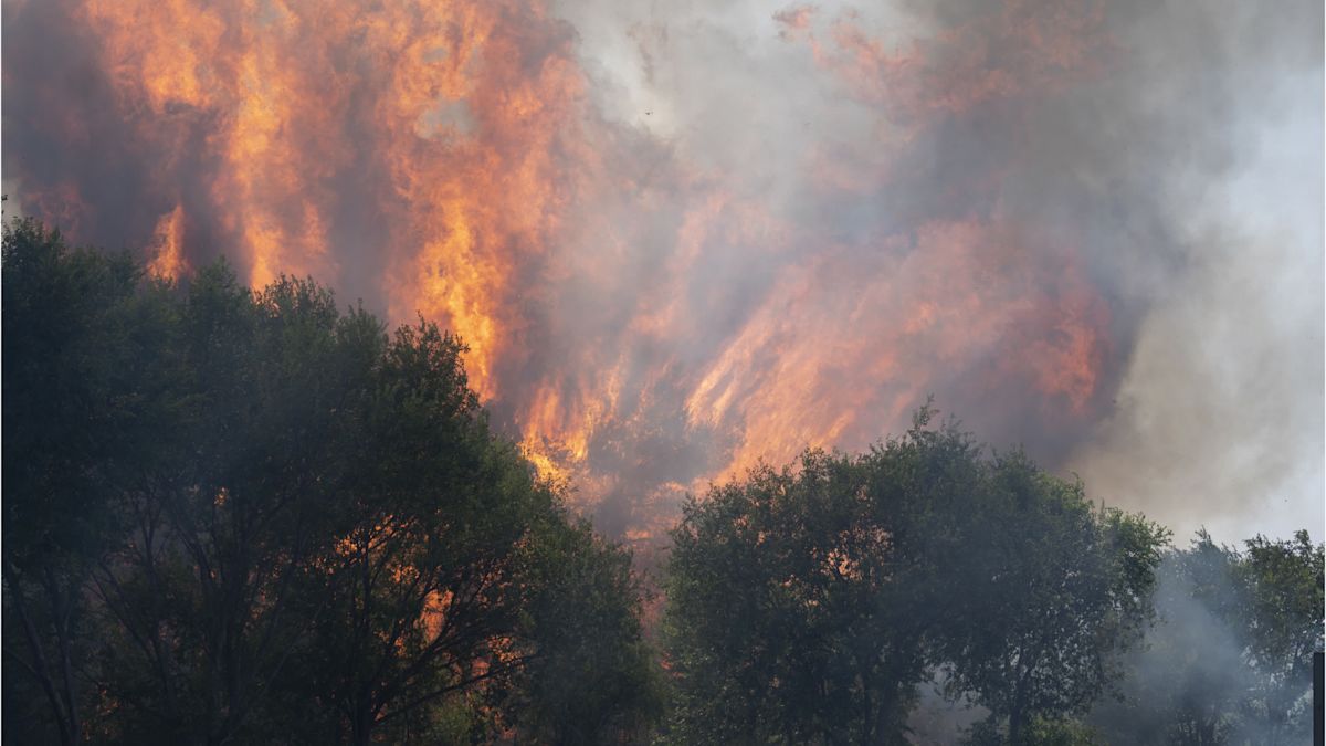 Spain Declares National Emergency as Wildfires Force Mass Evacuations Near Madrid