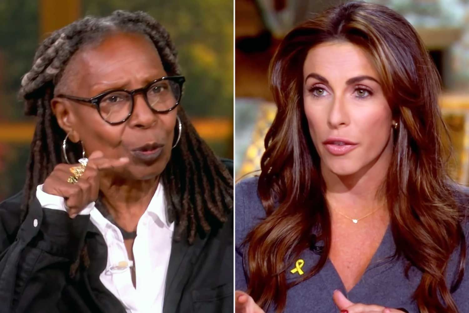 “The View” cohosts slam 'embarrassment to the country' amid government shutdown: 'Grow up'
