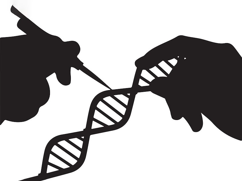 Death in Chinese gene-editing trial exposes ethical fault lines