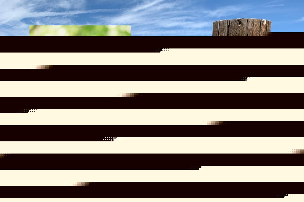 Future of Farming: Advocating Early