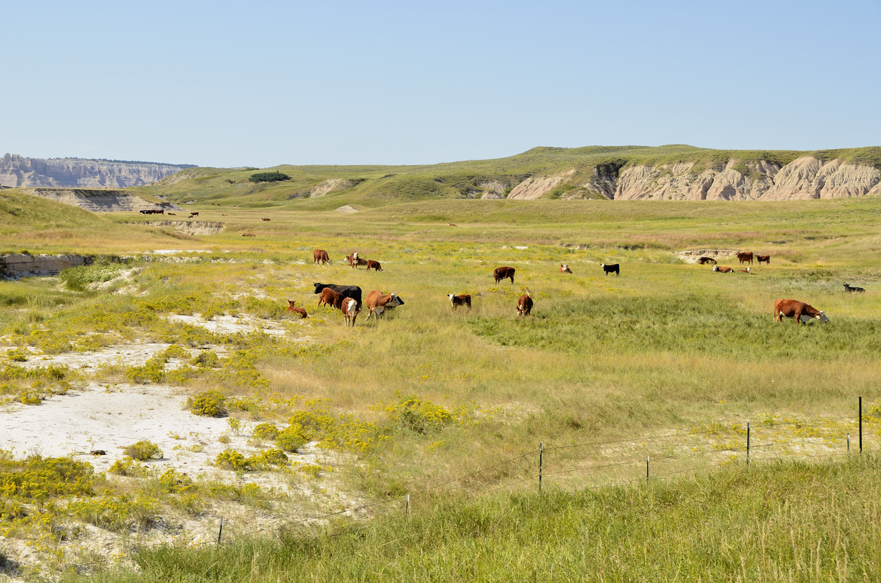 Rhoden order to help hay haulers