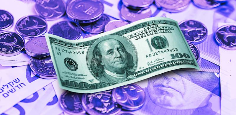Importers jump on low shekel exchange rate