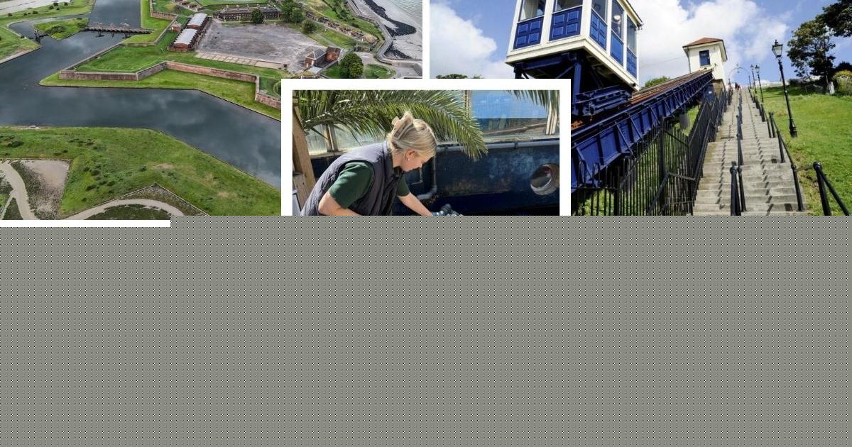 Listed: Some of the most unique attractions you can visit in Essex